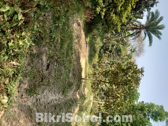 জমি বিক্রি হবে